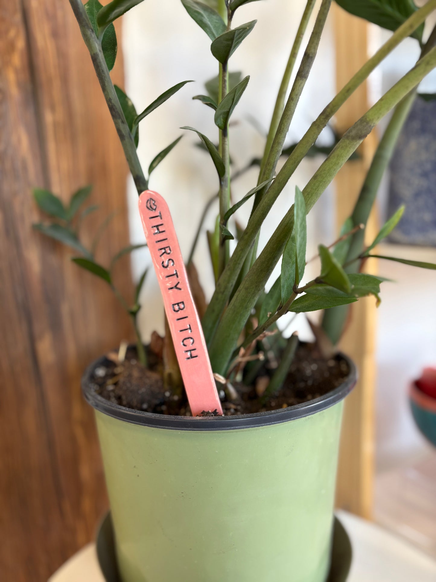Plant Stakes Workshop | Thursday, April 23, 2026