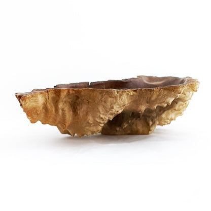 Wooden Burl Bowl