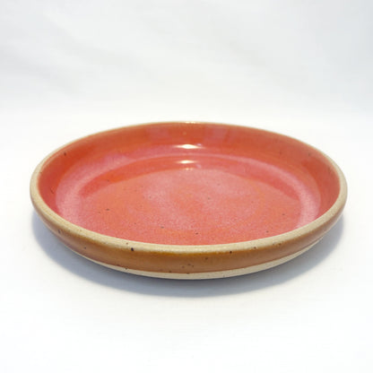 Hazelnut Cat Dish | Multiple Styles Available