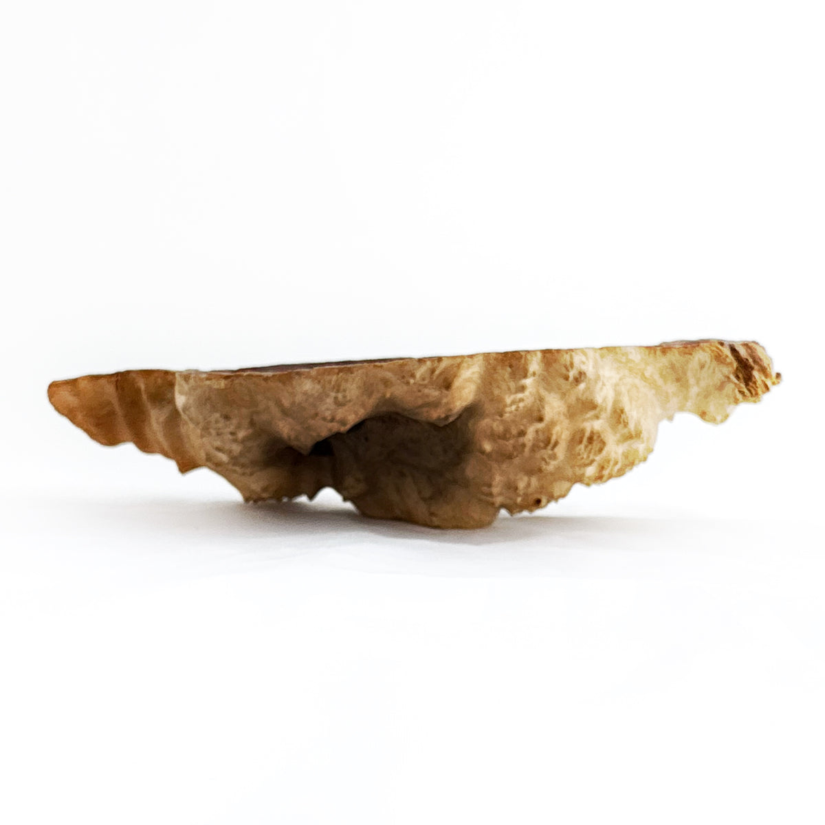 Wooden Burl Bowl