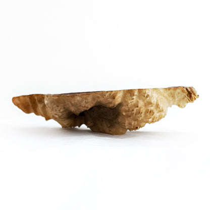 Wooden Burl Bowl
