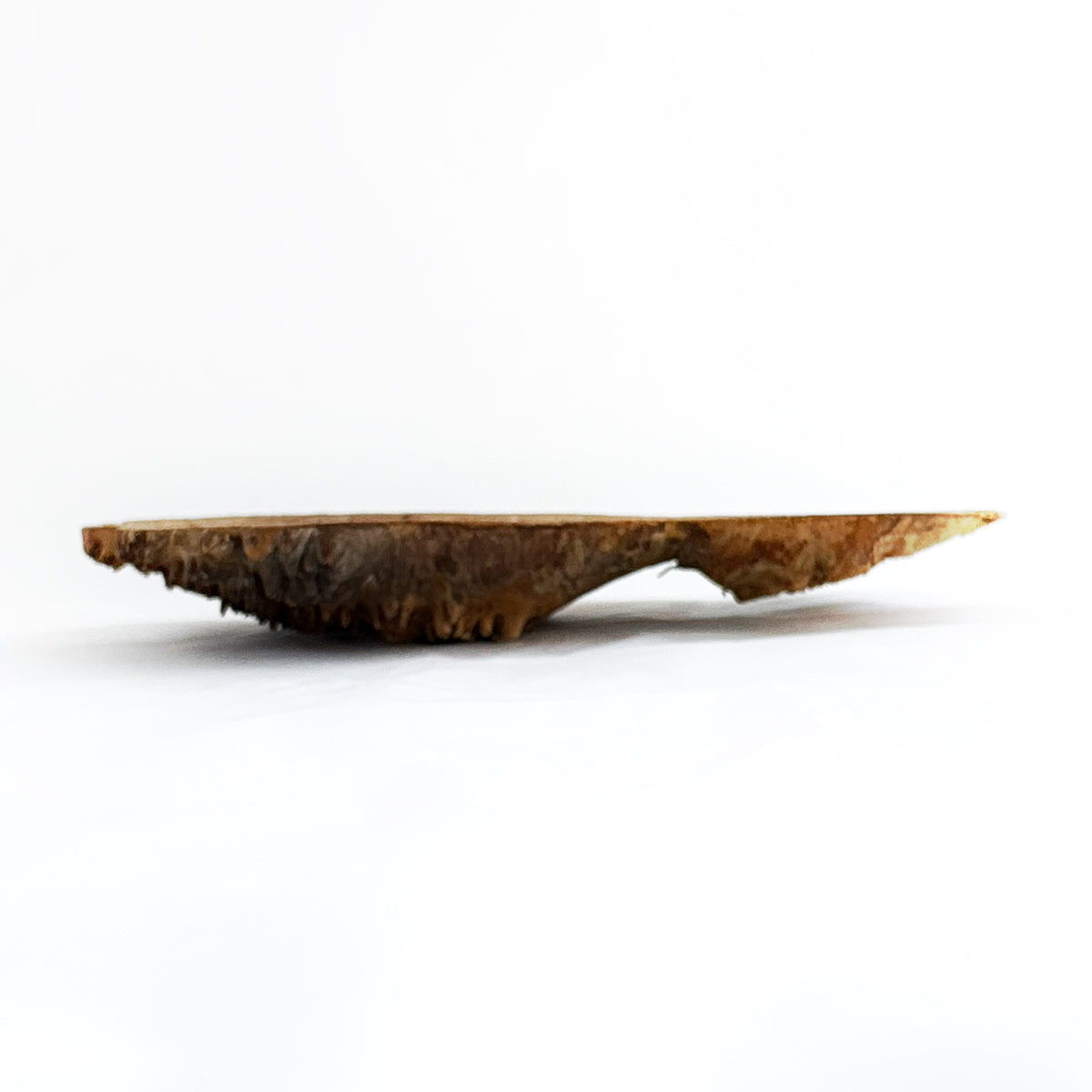Wooden Burl Bowl