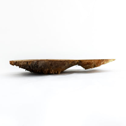 Wooden Burl Bowl