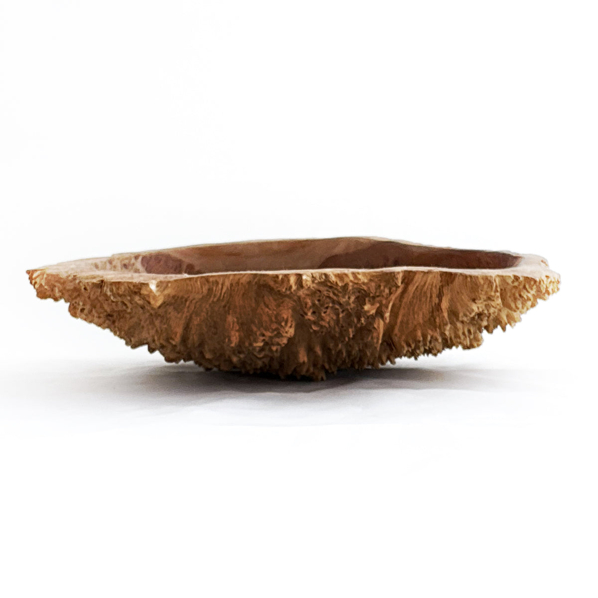 Wooden Burl Bowl