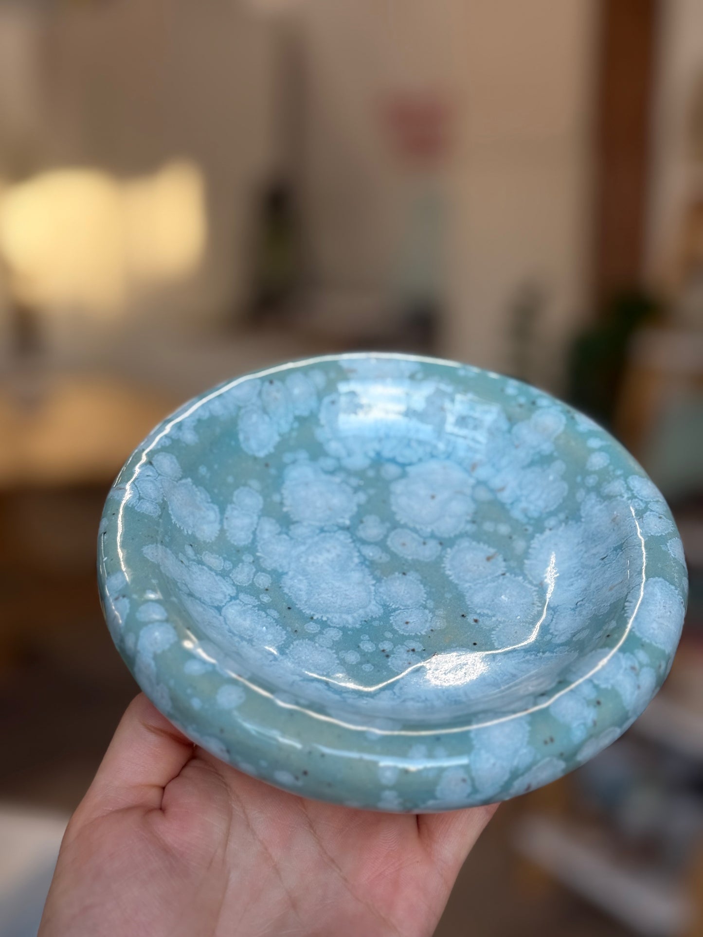 Member Wheel Bubble Plate Workshop | Saturday, July 11, 2026